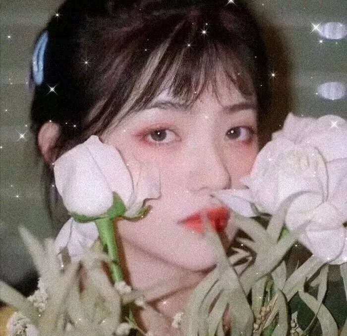 极品闺蜜2019粤语