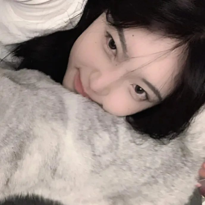 朕的刺客女友